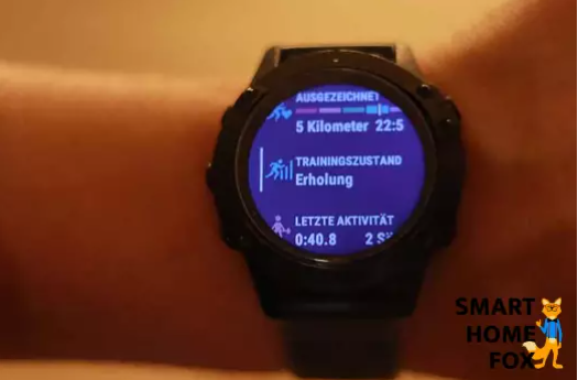 Montre connectée garmin fenix 7